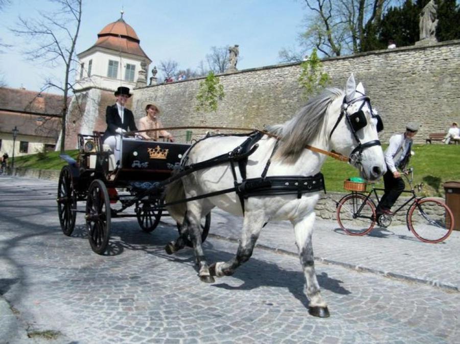 Penzion V Podzamci Litomysl Bagian luar foto